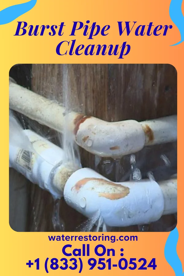Burst Pipe Water Cleanup in The Village, OK