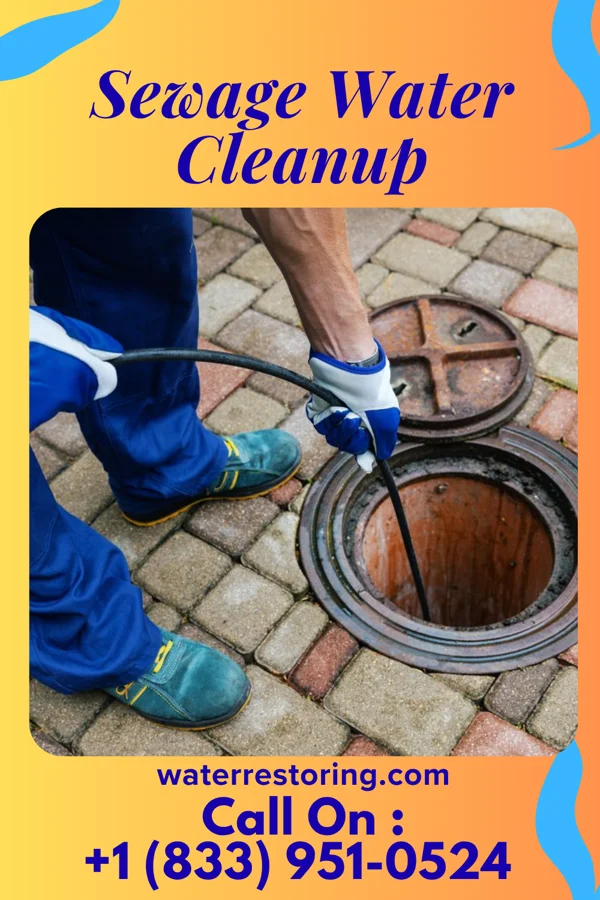 Sewage Water Cleanup in The Village, OK